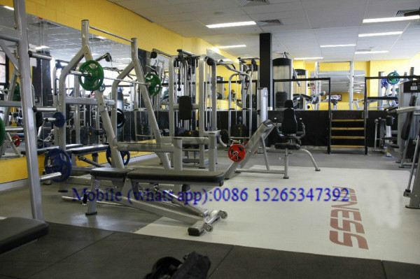 life and technogym fitness equipment life and technogym fitness equipment