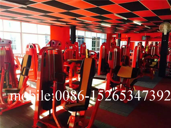 malaysia gym distributor malaysia gym distributor