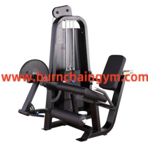 Hot Sale Fitness Equipment Importers Leg Extension (RP002)