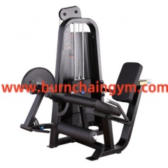 Hot Sale Fitness Equipment Importers Leg Extension (RP002)