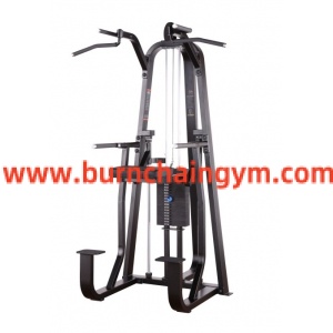 Hot Sale China Top Fitness Equipment Store online DiP Chin Assist (RP007)