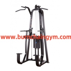 Hot Sale China Top Fitness Equipment Store online DiP Chin Assist (RP007)