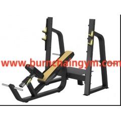 Hot Sale Professional Exercise Equipment Olympic Incline Bench