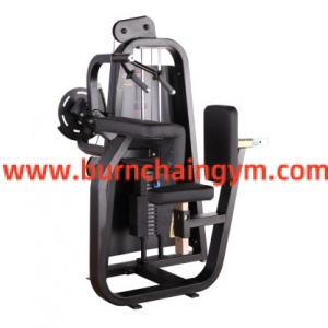 Hot Sale Cheapest Fitness Equipment AU Seated Tricep-Flat (RP014)