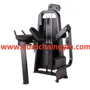 Hot Sale Luxury Quality Commercial Grade Fitness Equipment Glute Isolator (RP012)