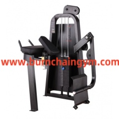 Hot Sale Luxury Quality Commercial Grade Fitness Equipment Glute Isolator (RP012)