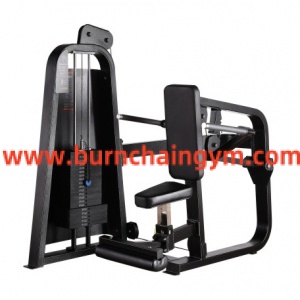 Hot Sale Cheapest Commercial Grade Fitness Equipment Seated Dip (RP013)