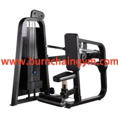 Hot Sale Cheapest Commercial Grade Fitness Equipment Seated Dip (RP013)