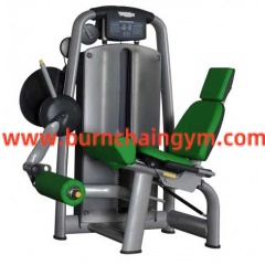 Hot Sale Hot Selling Seated Leg Extension Gym Exercise Machines Online (RT002)