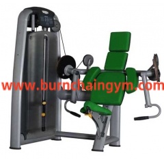 High Quality Best Quality Biceps Curl Equipment Gym Weight Machines  (RT012)