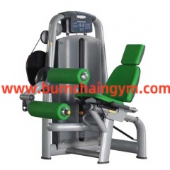 Hot Sale Cheapest Gym Machines Online Seated Leg Curl (RT001)