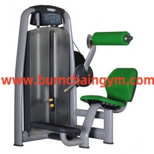High Quality Glod Back Extension Gym Machines price(RT006)