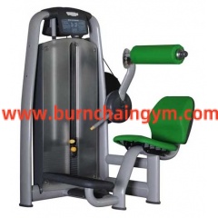 High Quality Glod Back Extension Gym Machines price(RT006)