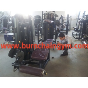 High Quality AE approved Prone Leg Curl Gym Machines for Leg(RT044)