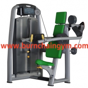 High Quality Shandong Delt Machine Gym Equipment Name Pictures(RT010)