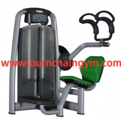 High Quality Korea Abdominal Crunch Gold Gym Machines price(RT03B)