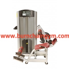 Back Extension Abdominal Crunch Fitness Equipment auction(RL-B) Manufacturers China