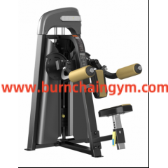 Exercise Machines Lateral Raise Gym Quality Fitness Equipment(RPN-03) Manufacturers