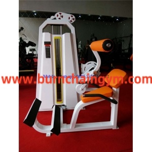 New Back Extension Fitness Equipment Design(RPN-031) Manufacturers