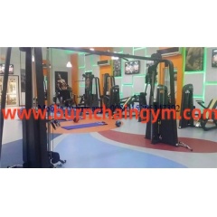 New Design Adjustable Crossover Lifetime Fitness Machines(RPN-016) Manufacturers