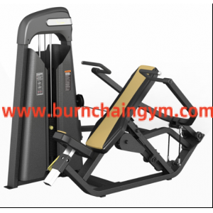 Fitness Machines Shoulder Press Professional Gym Equipment (RPN-06) Manufacturers