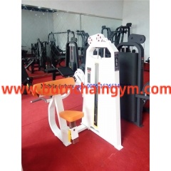 New Design Camber Curl Fitness Equipment Sydney(RPN-015) Manufacturers