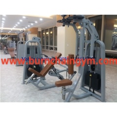 Products Pearl Delt/Pec Fly Gym Fitness equipment wholesale(RPN-07) Manufacturers