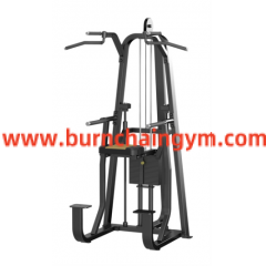 China Supplier Dip/Chin Assist Fitness Cable Machines(RPN-09) Manufacturers