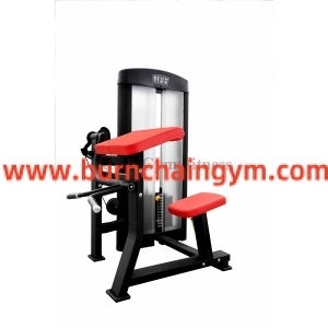 Professional Commercial Biceps Curl Gym Exercise Machines(RL1-06) Manufacturers China