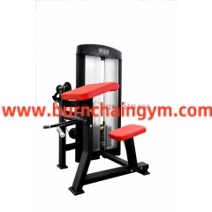 Professional Commercial Biceps Curl Gym Exercise Machines(RL1-06) Manufacturers China