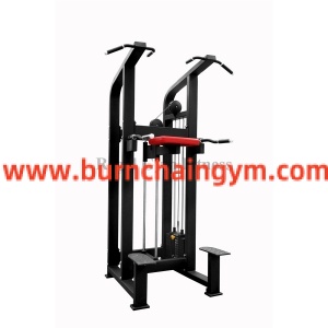 Professional Fitness Promotion Assisted Chin/Dip Gym Equipments List (RL1-011) Manufacturers China