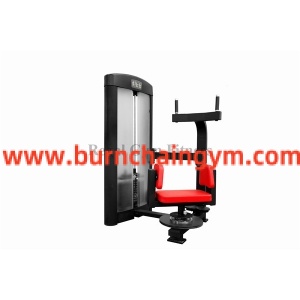 Professional Totary Torso Which Gym Machines to Use to Lose Weight (RL1-012) Manufacturers China