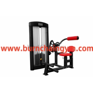 Professional Promotional Back Extension Best Gym Machines to Use (RL1-011) Manufacturers China