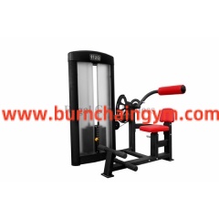 Professional Promotional Back Extension Best Gym Machines to Use (RL1-011) Manufacturers China