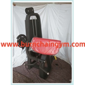 Hot Sale Precor Gym Equipment Camber Curl/Fitness Equipment(RP-015)