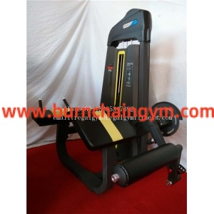 Professional Commercial Fitness Equipment/Body Strong Exercise Equipment(RE-048) Manufacturers China