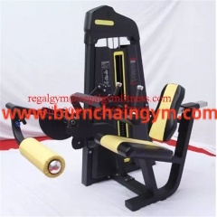 Professional China Fitness Equipment Importer Leg Extension Manufacturers China