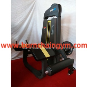 Professional Best Buy High End Commercial Fitness Equipment Sales Prone Leg Curl Manufacturers China