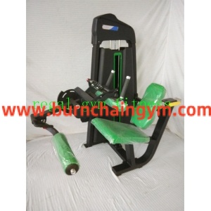 Professional Fitness equipment wholesale Leg curl Manufacturers China