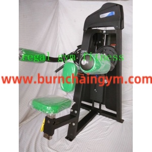 Professional Best Quality Fitness equipment wholesale Lateral Raise Manufacturers China