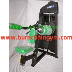 Professional Best Quality Fitness equipment wholesale Lateral Raise Manufacturers China