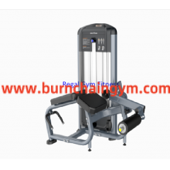 Professional Prone Leg Curl Commercial Gym Fitness Equipment Manufacturers China